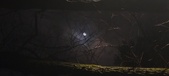Enlarge photo 54