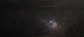 Enlarge photo 53