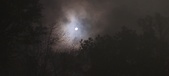 Enlarge photo 52