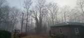 Enlarge photo 48