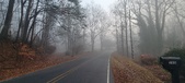 Enlarge photo 47