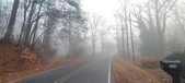 Enlarge photo 46