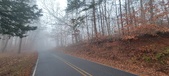 Enlarge photo 45