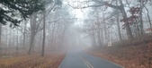 Enlarge photo 44