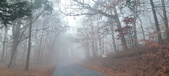 Enlarge photo 43
