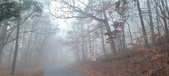 Enlarge photo 42