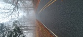 Enlarge photo 41