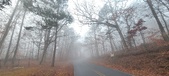 Enlarge photo 40