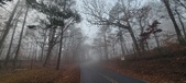 Enlarge photo 39