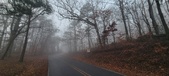Enlarge photo 38