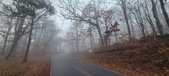 Enlarge photo 37