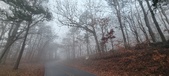 Enlarge photo 36
