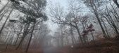 Enlarge photo 35