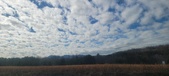 Enlarge photo 208