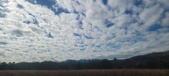 Enlarge photo 207