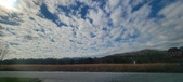 Enlarge photo 206