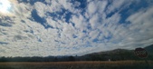 Enlarge photo 204