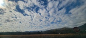 Enlarge photo 199