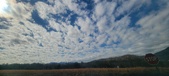 Enlarge photo 201