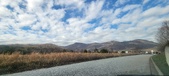 Enlarge photo 202