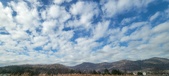 Enlarge photo 203