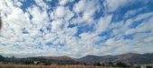 Enlarge photo 200
