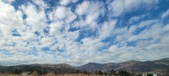 Enlarge photo 198