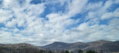 Enlarge photo 197