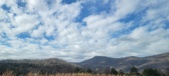 Enlarge photo 196