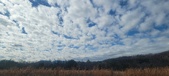 Enlarge photo 190