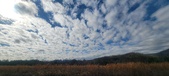 Enlarge photo 192