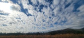 Enlarge photo 193
