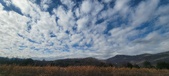Enlarge photo 189