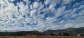 Enlarge photo 188