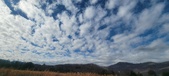 Enlarge photo 194