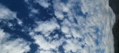 Enlarge photo 195