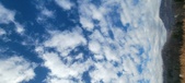 Enlarge photo 184