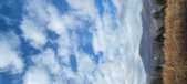 Enlarge photo 186