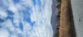 Enlarge photo 183