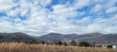 Enlarge photo 182