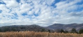 Enlarge photo 181