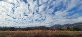 Enlarge photo 179