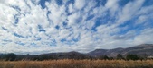 Enlarge photo 178