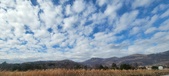Enlarge photo 177