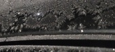 Enlarge photo 229