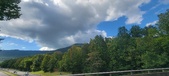 Enlarge photo 317