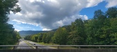 Enlarge photo 316