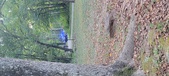 Enlarge photo 307