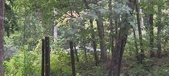 Enlarge photo 303