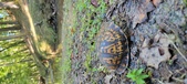 Enlarge photo 280